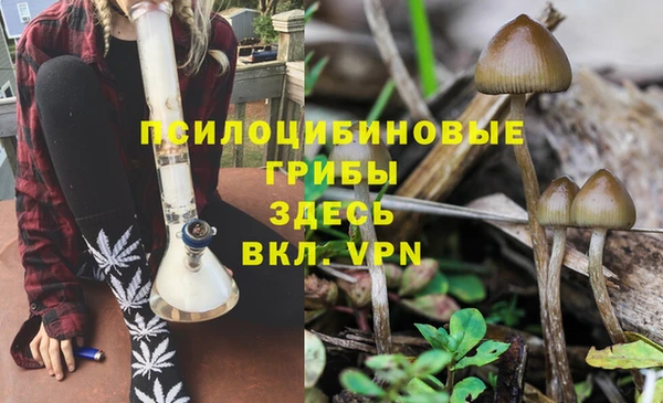 тгк Волоколамск